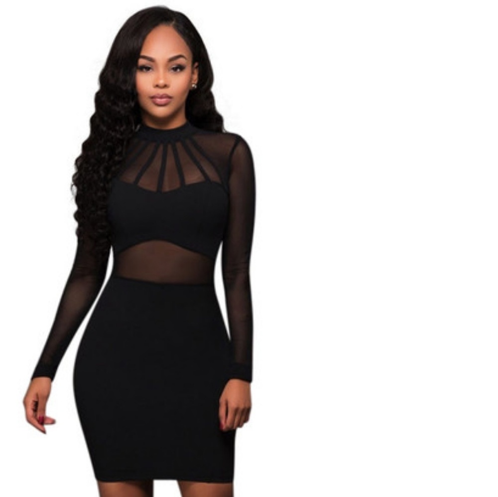 Black Mesh Bodycon Dress